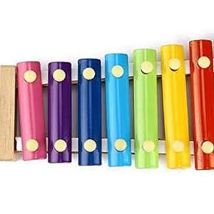 Xylophone - drums & percussion toys