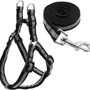 Dog's Nylon Reflective Leash Lead Set (Small, Black)